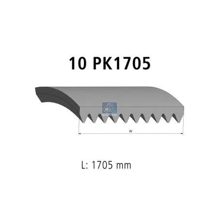 Courroie multi-nervures, 10 PK, L: 1705 mm, W: 35.6 mm, 10PK1705 Pour MAN Chassis, G/M/F 90, Lion's, L/M/F/E 2000, N-Busse