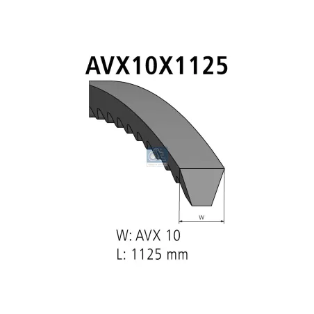 Courroie, L: 1125 mm, W: 10 mm, AVX10X1125 Pour Iveco M - MAN G/M/F 90 - Mercedes-Benz Axor - Renault Midliner