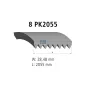 Courroie multi-nervures, 8 PK, L: 2055 mm, W: 28.5 mm, 8PK2055 Pour DAF CF - Volvo B12 - 1856805 - 1943454 - 20459724