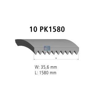 Courroie multi-nervures, 10 PK, L: 1580 mm, W: 35.6 mm, 10PK1580 Pour MAN Chassis, D-engines, E-engines, G/M/F 90, Lion's