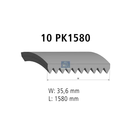 Courroie multi-nervures, 10 PK, L: 1580 mm, W: 35.6 mm, 10PK1580 Pour MAN Chassis, D-engines, E-engines, G/M/F 90, Lion's