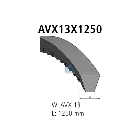 Kit de courroies, L: 1250 mm, W: 13 mm, AVX13X1250, 2 belts Pour MAN Chassis, D-engines, F 7/8/9, G/M/F 90, H-engines