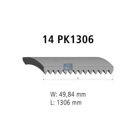 Courroie multi-nervures, 14 PK, L: 1306 mm, W: 49.8 mm, 14PK1306 Pour MAN Chassis, D-engines, G/M/F 90, Lion's, L/M/F/E 2000