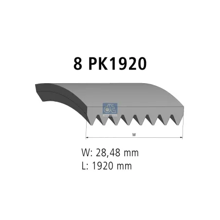 Courroie multi-nervures, 8 PK, L: 1920 mm, W: 28.5 mm, 8PK1920 Pour MAN Chassis, D-engines, G/M/F 90, Lion's, L/M/F/E 2000