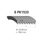 Courroie multi-nervures, 8 PK, L: 1920 mm, W: 28.5 mm, 8PK1920 Pour MAN Chassis, D-engines, G/M/F 90, Lion's, L/M/F/E 2000