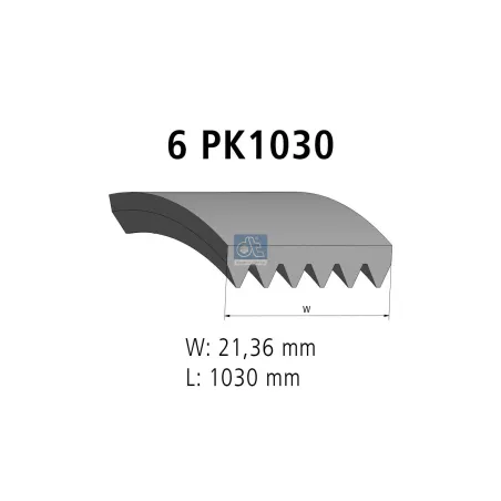 Courroie multi-nervures, 6 PK, L: 1030 mm, W: 21.4 mm, 6PK1030 Pour MAN Chassis, D-engines, G/M/F 90, Lion's, L/M/F/E 2000.