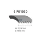 Courroie multi-nervures, 6 PK, L: 1030 mm, W: 21.4 mm, 6PK1030 Pour MAN Chassis, D-engines, G/M/F 90, Lion's, L/M/F/E 2000.