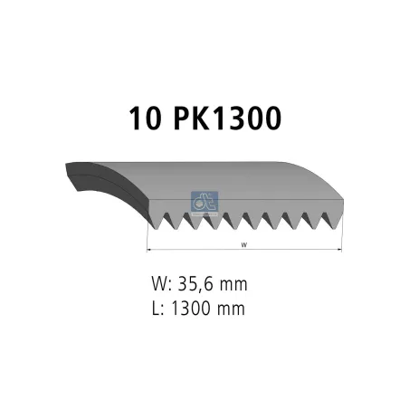 Courroie multi-nervures, 10 PK, L: 1300 mm, W: 35.6 mm, 10PK1300 Pour MAN Chassis, D-engines, G/M/F 90, Lion's, L/M/F/E 2000