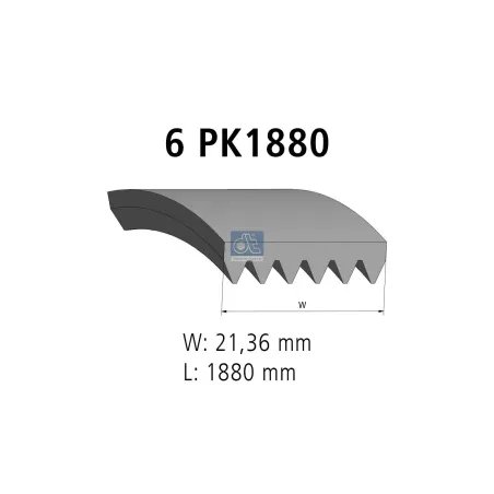 Courroie multi-nervures, 6 PK, L: 1880 mm, W: 21.4 mm, 6PK1880 Pour MAN Chassis, D-engines, G/M/F 90, Lion's, L/M/F/E 2000.