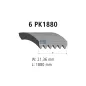 Courroie multi-nervures, 6 PK, L: 1880 mm, W: 21.4 mm, 6PK1880 Pour MAN Chassis, D-engines, G/M/F 90, Lion's, L/M/F/E 2000.