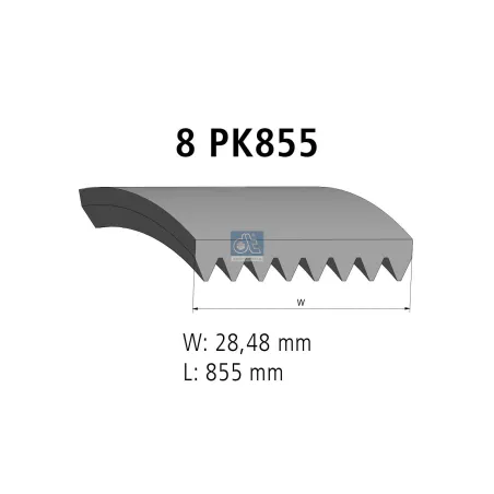 Courroie multi-nervures, 8 PK, L: 855 mm, W: 28.5 mm, 8PK855 Pour MAN TG-Serie - 81.96820.0051.