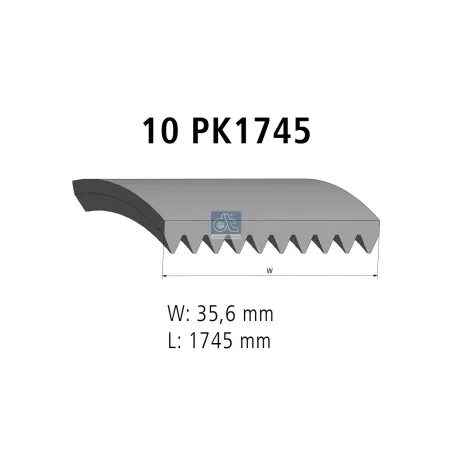 Courroie multi-nervures, 10 PK, L: 1745 mm, W: 35.6 mm, 10PK1745 Pour MAN Chassis, D-engines, G/M/F 90, Lion's, L/M/F/E 2000