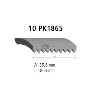 Courroie multi-nervures, 10 PK, L: 1865 mm, W: 35.6 mm, 10PK1865 Pour MAN Chassis, D-engines, G/M/F 90, Lion's, L/M/F/E 2000