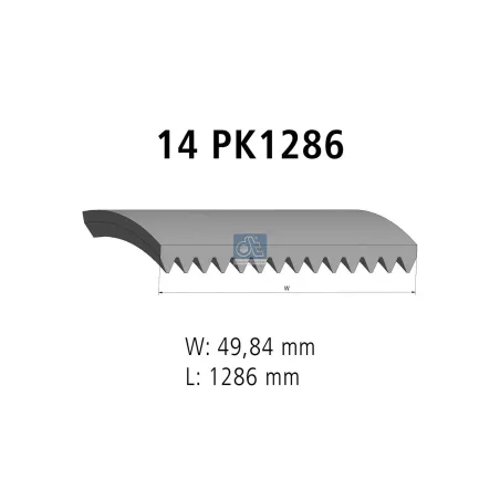 Courroie multi-nervures, 14 PK, L: 1286 mm, W: 49.8 mm, 14PK1286 Pour MAN Chassis, D-engines, G/M/F 90, Lion's, L/M/F/E 2000