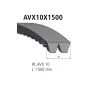 Courroie trapézoïdale composite, L: 1500 mm, W: 10 mm, AVX10X1500, 2 belts Pour MAN Chassis, D-engines, G/M/F 90, Lion's