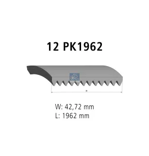 Courroie multi-nervures, 12 PK, L: 1962 mm, W: 42.7 mm, 12PK1962 Pour MAN Chassis, D-engines, G/M/F 90, Lion's, L/M/F/E 2000