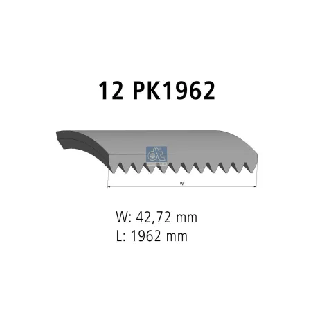 Courroie multi-nervures, 12 PK, L: 1962 mm, W: 42.7 mm, 12PK1962 Pour MAN Chassis, D-engines, G/M/F 90, Lion's, L/M/F/E 2000