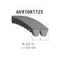 Courroie trapézoïdale composite, L: 1725 mm, W: 10 mm, AVX10X1725, 2 belts Pour MAN Chassis, G/M/F 90, Lion's, L/M/F/E 2000.