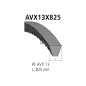 Courroie, L: 825 mm, W: 13 mm, AVX13X825 Pour MAN Chassis - BMW tbd - 049260849A - 017185D - 00012686834 - 1258239 - 11232242209