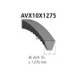 Courroie, L: 1275 mm, W: 10 mm, AVX10X1275 Pour Mack Mid-Liner - MAN Chassis, G/M/F 90, Lion's, L/M/F/E 2000, N-Busse, TG-Serie