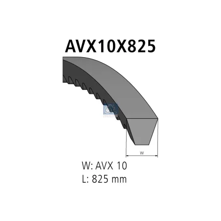 Courroie, L: 825 mm, W: 10 mm, AVX10X825 Pour MAN Chassis - BMW tbd - Cummins tbd - X696613101000 - 07618521 - 08240410