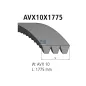 Courroie trapézoïdale composite, L: 1775 mm, W: 10 mm, AVX10X1775, 3 belts Pour MAN Chassis - 06.58073.1523