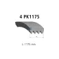 Courroie multi-nervures, 4 PK, L: 1175 mm, W: 14.2 mm, 4PK1175 Pour Mercedes-Benz - 6299930096 - A6299930096.