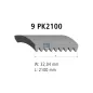 Courroie multi-nervures, 9 PK, L: 2100 mm, W: 32 mm, 9PK2100 Pour Mercedes-Benz Axor, Citaro, Actros - 0149976092 - A0149976092