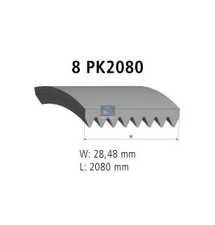 Courroie multi-nervures, 8 PK, L: 2080 mm, W: 28.5 mm, 8PK2080 Pour DAF CF, XF - Mercedes-Benz Atego 1, Atego 2, Axor, Citaro