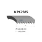 Courroie multi-nervures, 8 PK, L: 2585 mm, W: 28.5 mm, 8PK2585 Pour Mercedes-Benz Actros 1, Atego - 0099976092 - 0109974692.