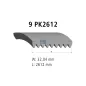 Courroie multi-nervures, 9 PK, L: 2612 mm, W: 32 mm, 9PK2612 Pour MAN - Mercedes-Benz - ZG - N1.01401.1135 - 0109971092.