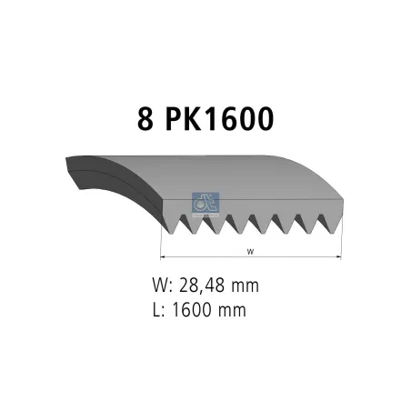 Courroie multi-nervures, 8 PK, L: 1600 mm, W: 28.5 mm, 8PK1600 Pour Mercedes-Benz Actros - Volvo VN, VAH, VHD - Cummins tbd.