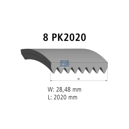 Courroie multi-nervures, 8 PK, L: 2020 mm, W: 28.5 mm, 8PK2020 Pour Scania 4-Serie Bus, 4-Serie, F, K, N-Serie, P96.