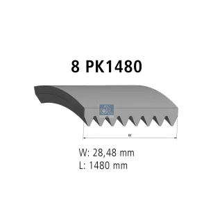 Courroie multi-nervures, 8 PK, L: 1480 mm, W: 28.5 mm, 8PK1480 Pour MAN Chassis, D-engines, E-engines, G/M/F 90, Lion's