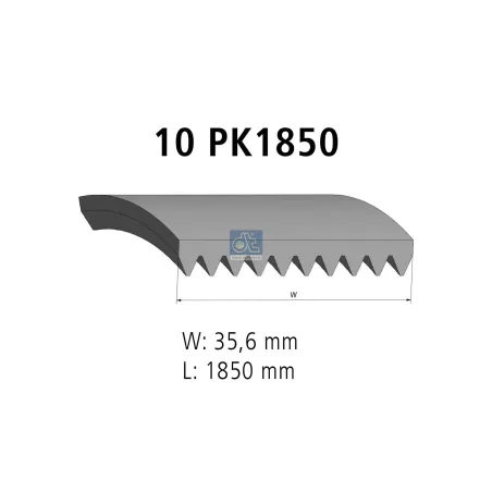 Courroie multi-nervures, 10 PK, L: 1850 mm, W: 35.6 mm, 10PK1850 pour Mercedes-Benz Atego 1, Atego 2, Axor