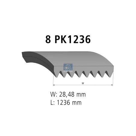 Courroie multi-nervures, 8 PK, L: 1236 mm, W: 28.5 mm, 8PK1236 Pour Mercedes-Benz Atego 1, Atego 2, Transporter, Unimog