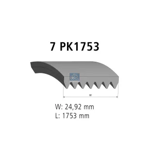 Courroie multi-nervures, 7 PK, L: 1753 mm, W: 24.9 mm, 7PK1753 Pour DAF XF, CF - 1458919 - 1638698 - 1812162 - 11720-5X00A.