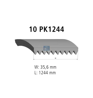 Courroie multi-nervures, 10 PK, L: 1244 mm, W: 35.6 mm, 10PK1244 Pour Mercedes-Benz Atego 1, Atego 2, Axor, Citaro, Econic 1