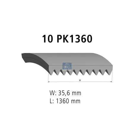 Courroie multi-nervures, 10 PK, L: 1360 mm, W: 35.6 mm, 10PK1360 Pour DAF XF, 45/55/65/75/85/95 - 3040668 - ZG.01615-0008.