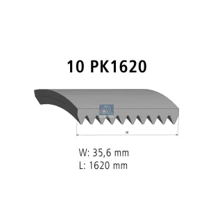 Courroie multi-nervures, 10 PK, L: 1620 mm, W: 35.6 mm, 10PK1620 Pour Mercedes-Benz Atego 1, Atego 2, Axor, Citaro, Econic 1