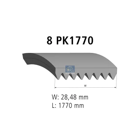 Courroie multi-nervures, 8 PK, L: 1770 mm, W: 28.5 mm, 8PK1770 Pour DAF CF - Ford Cargo, F-Max - 1785489, 1817890, GC46-6C301-FA