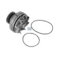 Pompe à eau, DI: 115 mm pour Renault G / Manager, Renault Maxter, Renault C / CBH / CLM / CLR, Renault R / Major