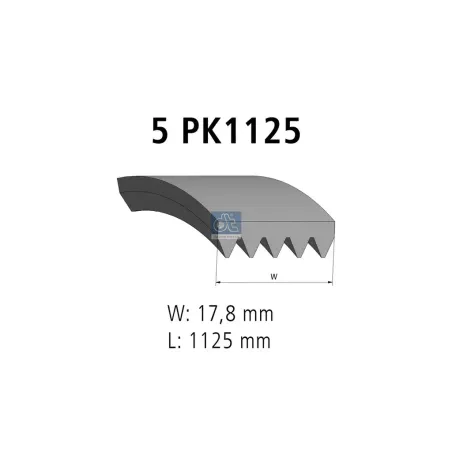 Courroie multi-nervures, 5 PK, L: 1125 mm, W: 17.8 mm, 5PK1125 - Mercedes-Benz Minibusse, Sprinter - Nissan Interstar