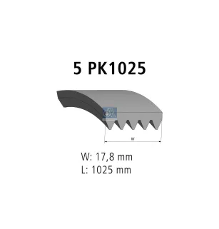 Courroie multi-nervures, 5 PK, L: 1025 mm, W: 17.8 mm, 5PK1025 Pour Renault Kerax, Premium - BMW tbd - 11287507626