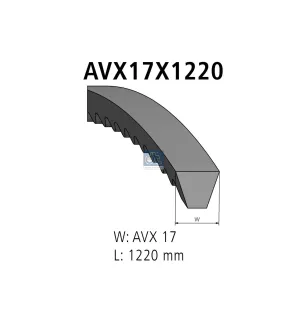 Kit de courroies, L: 1220 mm, W: 17 mm, AVX17X1220, 2 belts pour Iveco EuroStar, EuroTech, Trakker - 500301260