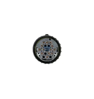Servo d'embrayage, reman. / sans retour pièce usée Pour Iveco EuroStar, EuroTech, Trakker - 42535776 - 42536989