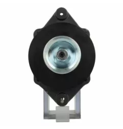 Alternador Mercury 55A Andre Niermann 0251101 Cargo 111710 WAI 12174N6G