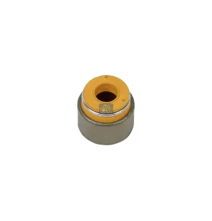 Joint de guide de soupape Pour DAF CF, LF - 1399566 - 1399569 - 04895072 - 04895411 - 4895072 - 4895411