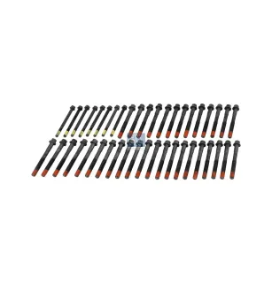 Kit de vis de culasse, M12 x 1,75, M16 x 2 pour DAF CF, XF - 0375951S - 1698228S - 375951S - ZG.01073-0008