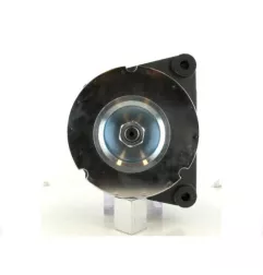Volvo Penta 65A Lichtmaschine, Lester 12392, 3860798, PSH 815025065